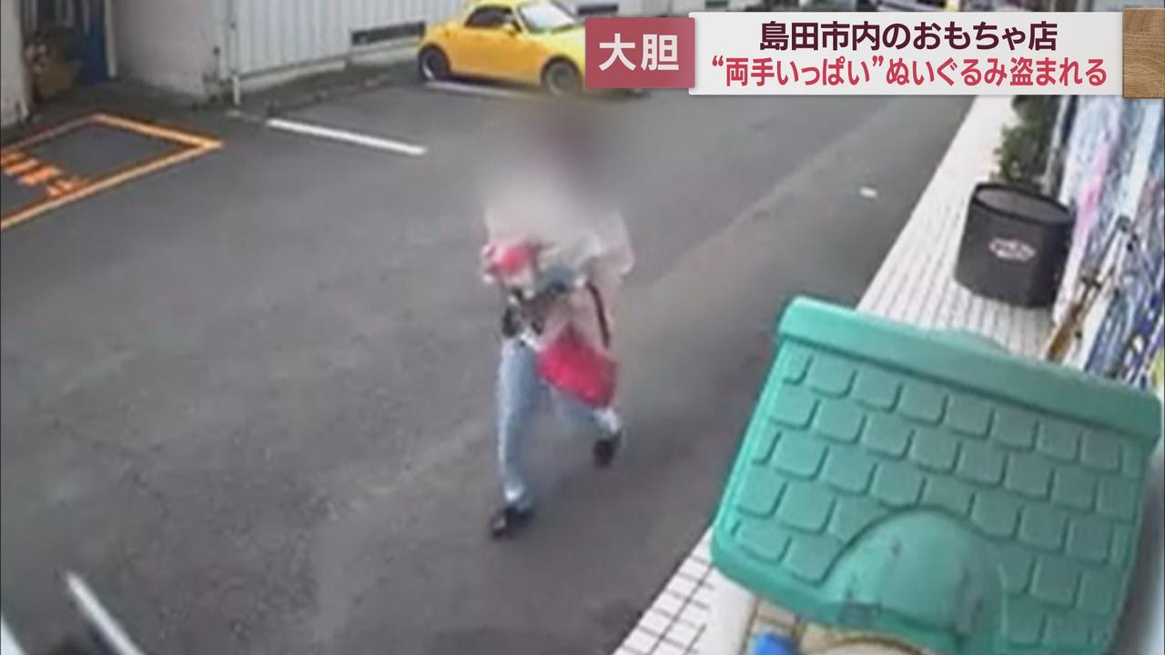 画像3: 営業中の店内から大量のぬいぐるみを盗んでいった女 大胆な犯行を検証 島田市