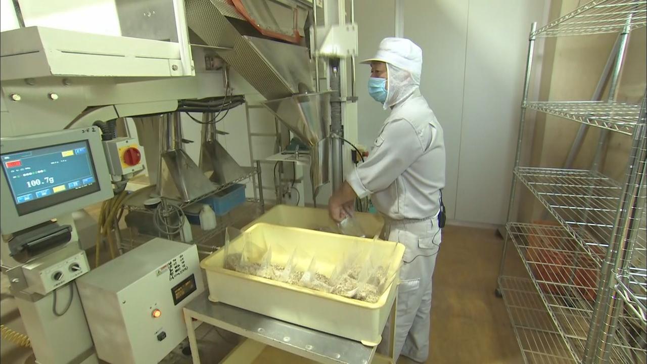 画像1: だし粉製造の現場では
