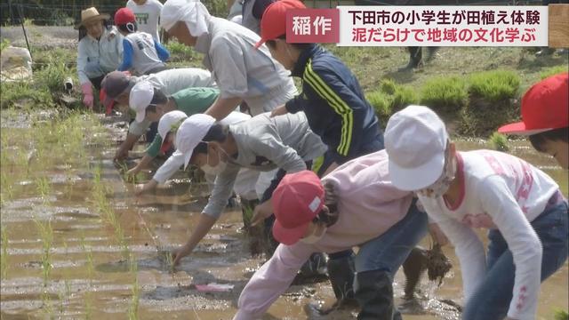 画像: 小学生が田植えに挑戦 子どもたちに地域の文化を伝える体験授業 静岡・下田市立稲梓小学校 youtu.be