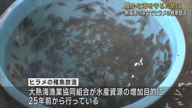 画像: 豊かな海を守るためヒラメの稚魚1万匹を放流 静岡・熱海港 youtu.be