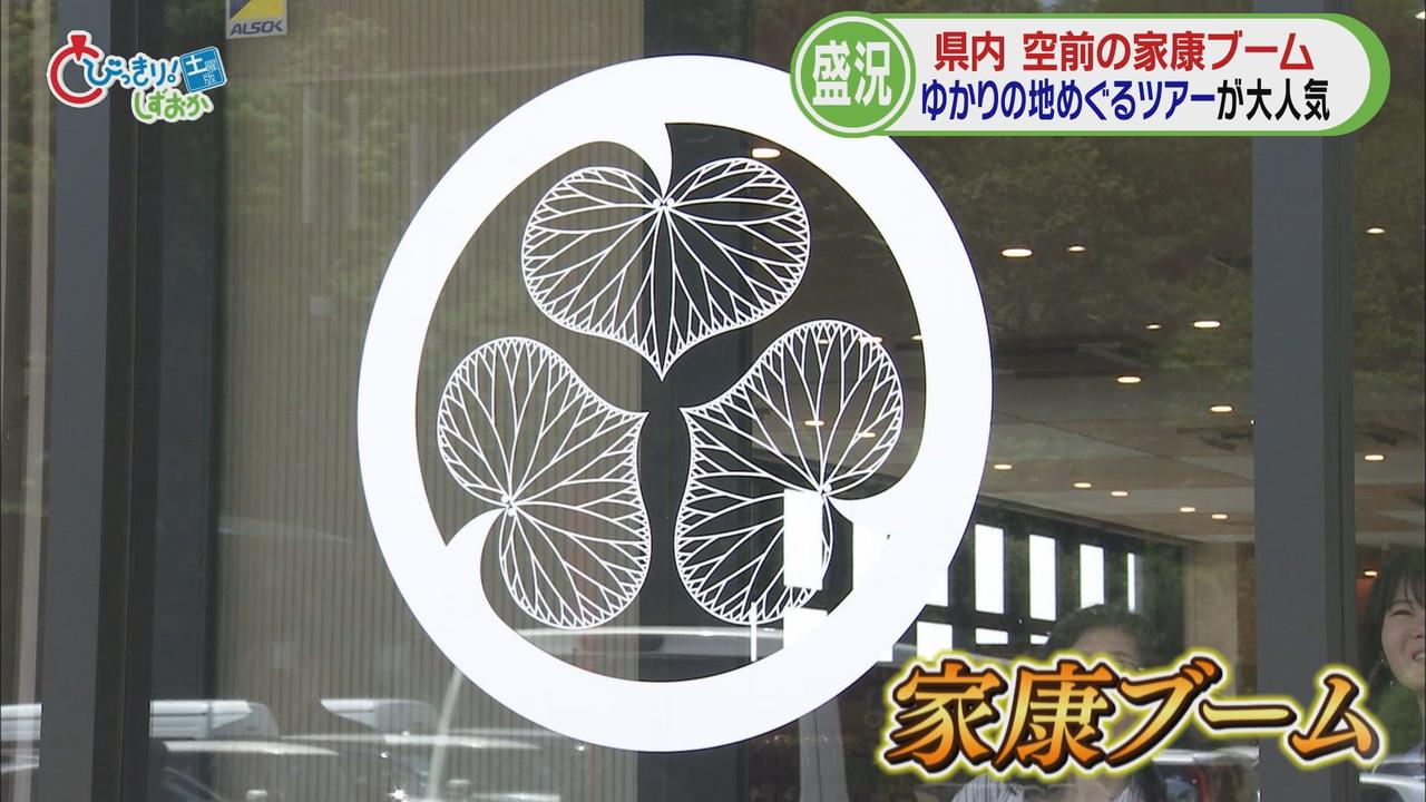 画像3: 久能山東照宮　家康にちなんだ御朱印帳が大人気
