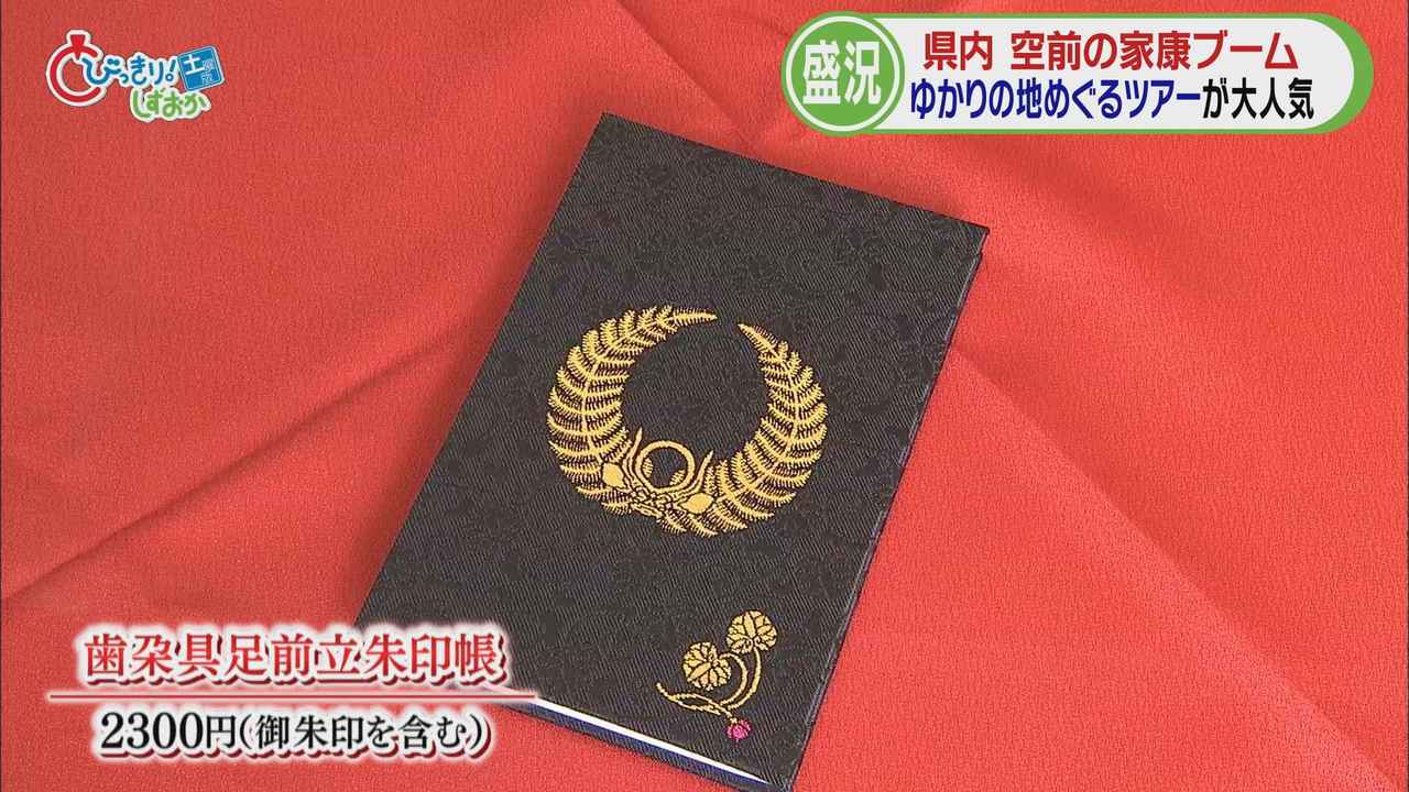 画像2: 久能山東照宮　家康にちなんだ御朱印帳が大人気