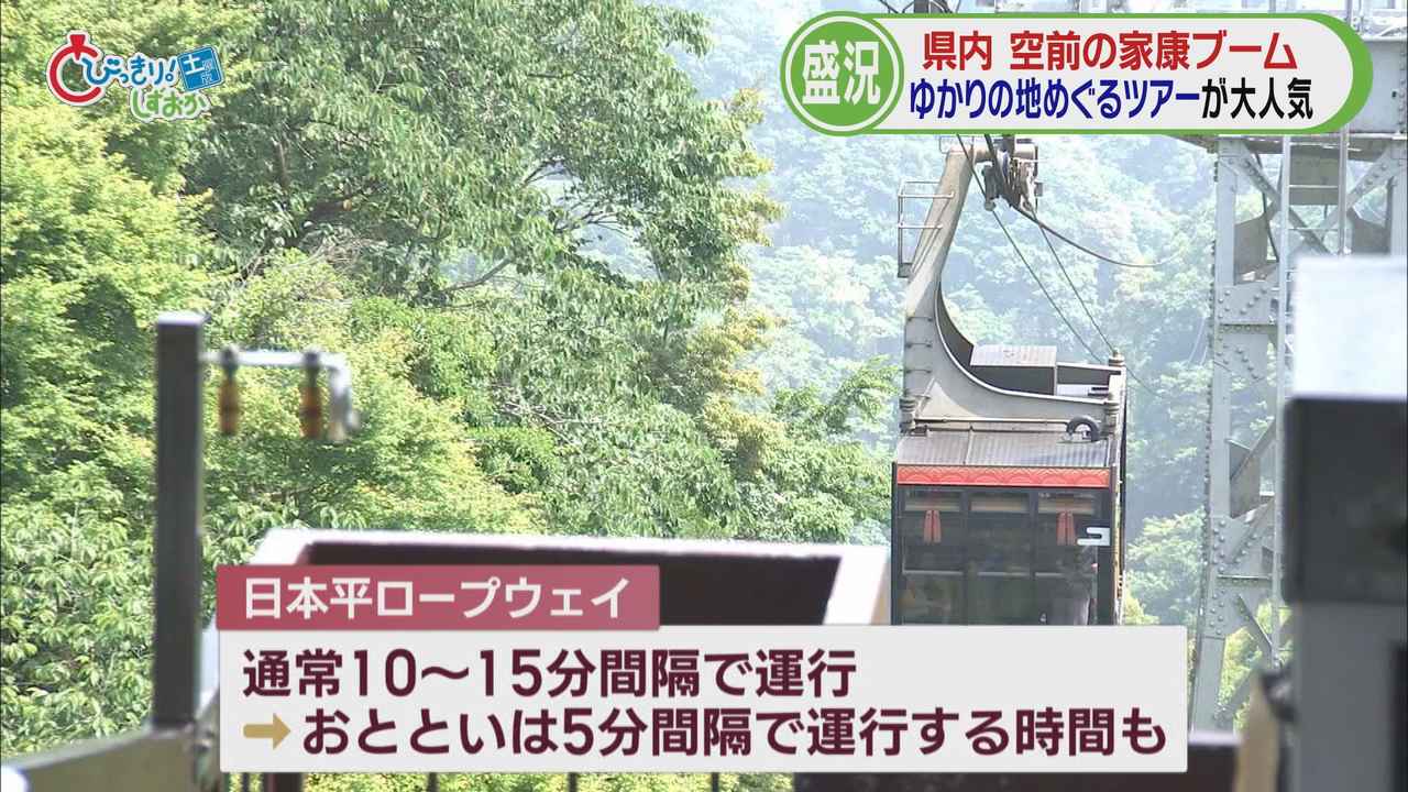 画像3: １日３０台のバスツアー