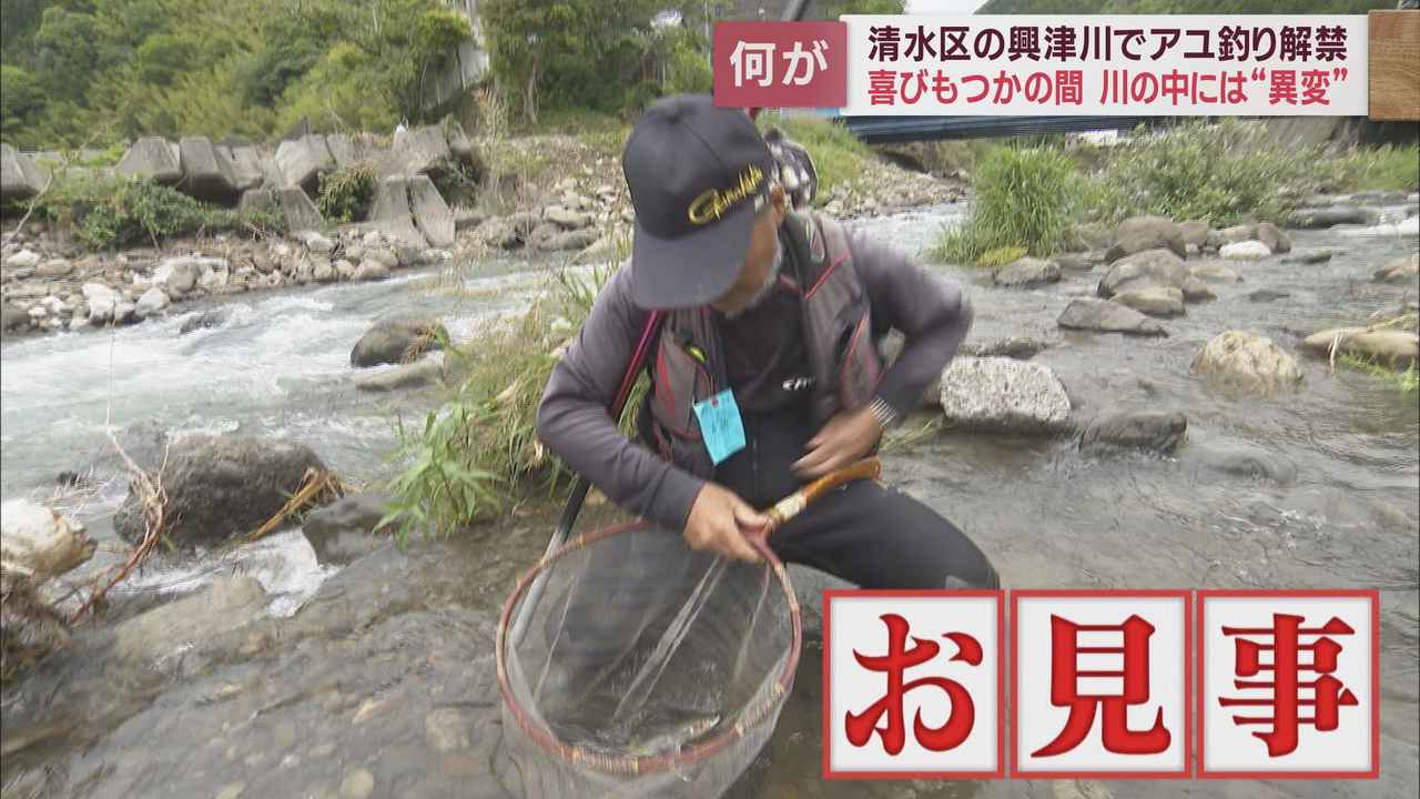 画像5: 台風15号の影響が心配される中で興津川のアユ釣りが解禁 静岡市清水区