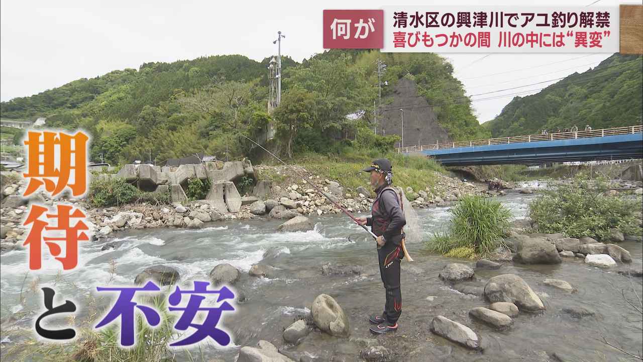 画像1: 台風15号の影響が心配される中で興津川のアユ釣りが解禁 静岡市清水区