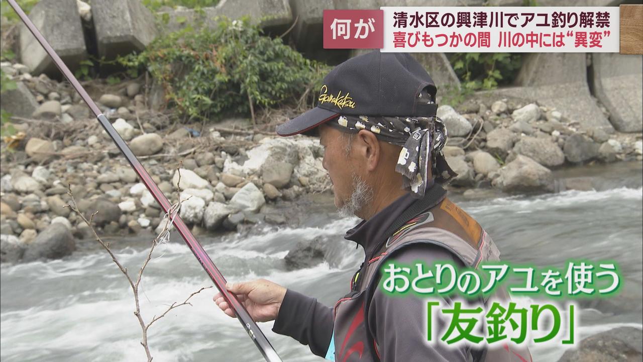 画像4: 台風15号の影響が心配される中で興津川のアユ釣りが解禁 静岡市清水区