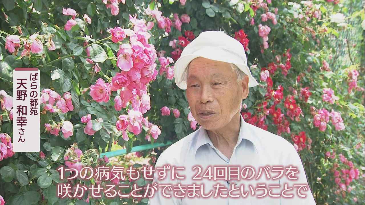 画像: 「感謝の気持ちは大きくなる」