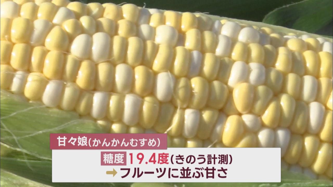 画像1: フルーツ並みの「甘さ」