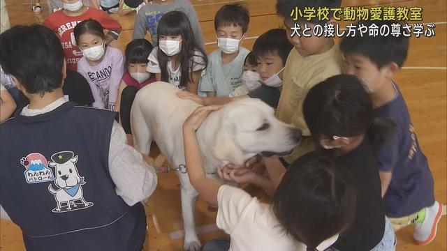 画像: 犬との接し方を学ぶことで動物の命を大切にする心を育てる・動物愛護教室 静岡・富士宮市立貴船小学校 youtu.be