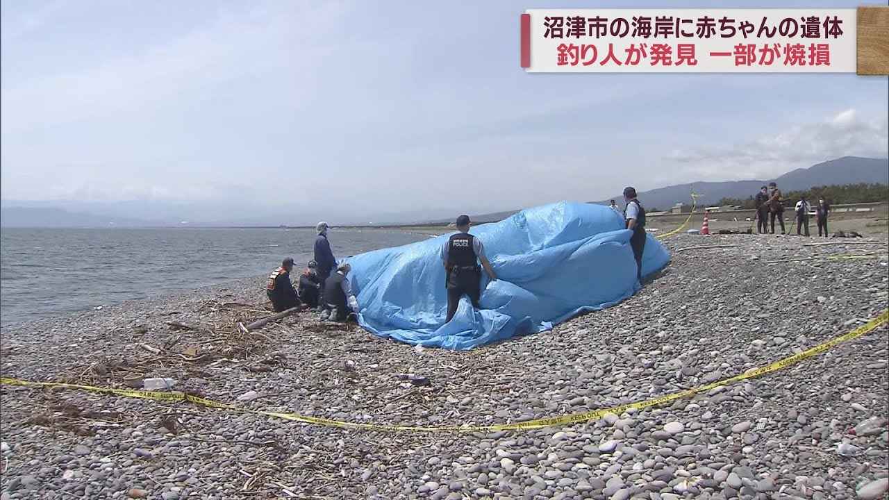 画像: 海岸で生まれて間もないとみられる赤ちゃんの遺体が見つかる 死体遺棄事件として捜査 静岡・沼津市 youtu.be