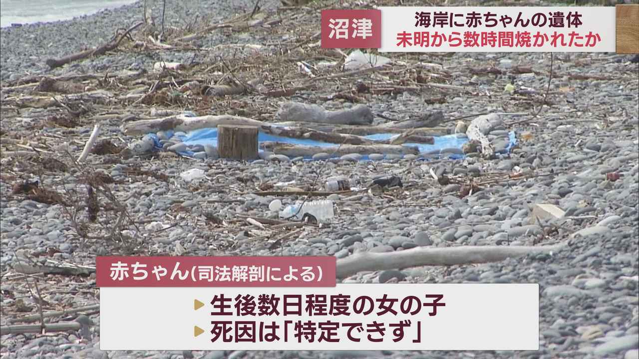 画像2: 赤ちゃんの遺体は未明から数時間焼かれていたか 別の場所で生まれ海岸に運ばれた可能性 静岡・沼津市