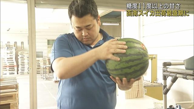 画像: 糖度11度以上　名産「函南スイカ」出荷が最盛期　静岡・函南町 youtu.be