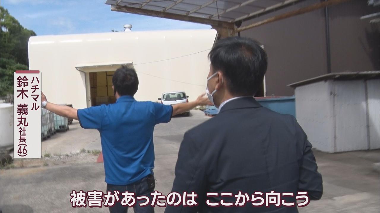 画像: 昔ながらのしょうゆ造り