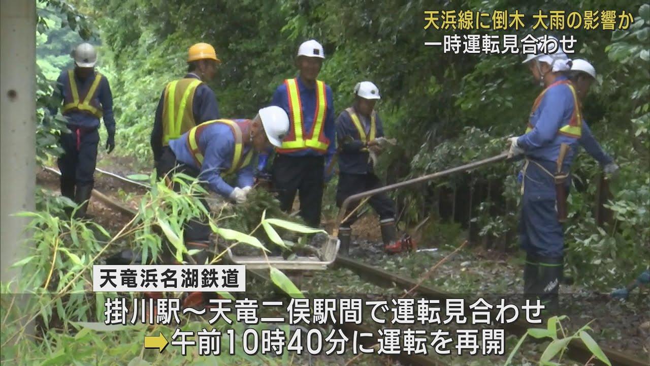 画像: 天竜浜名湖鉄道の線路で倒木…運転を見合わせていた掛川~天竜二俣間が運転再開 静岡・森町 youtu.be