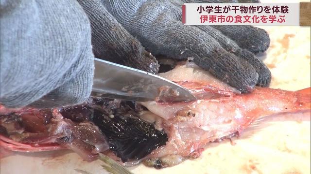 画像: ふるさとの食文化を学ぶ…児童が干物作り体験 アジやキンメダイに悪戦苦闘 静岡・伊東市 youtu.be