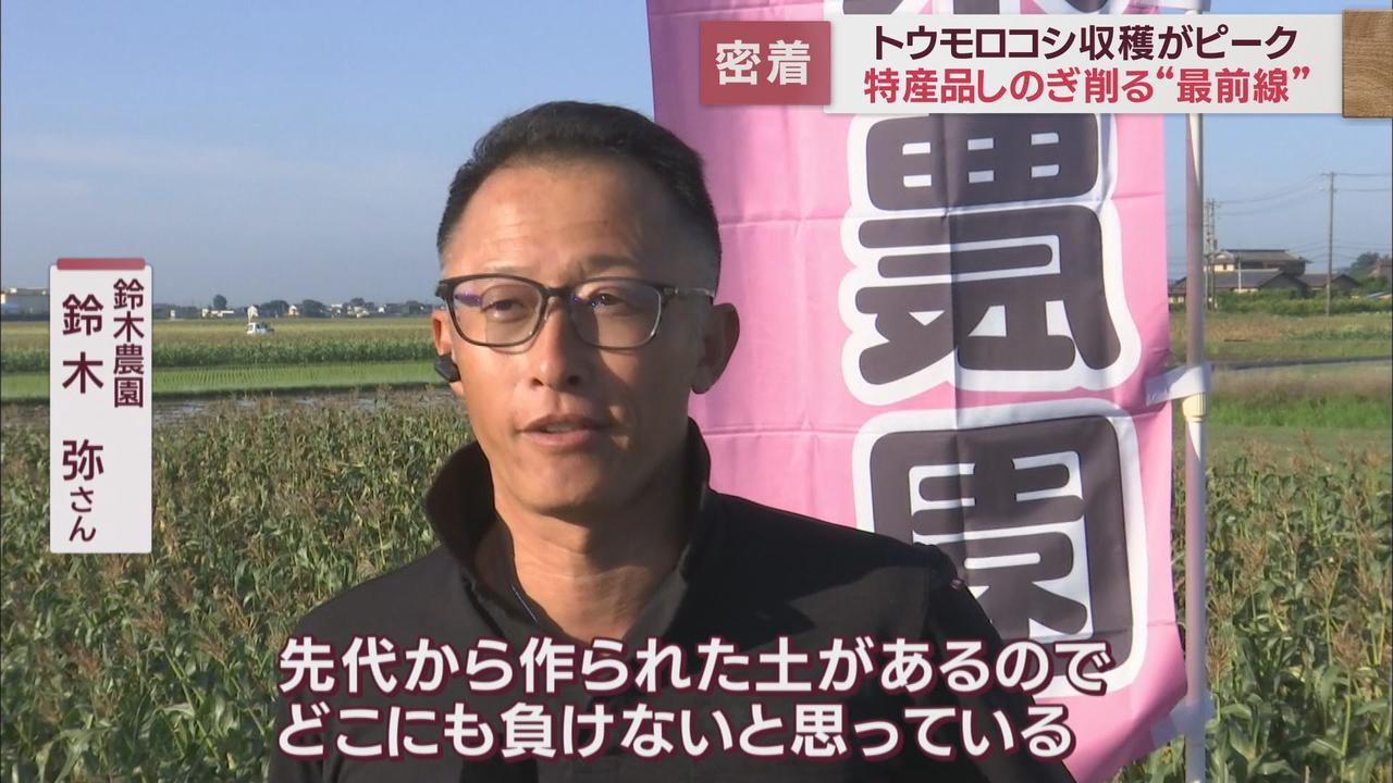 画像3: トウモロコシの収穫ピークに 静岡県内では各地でブランドコーンがしのぎを削る