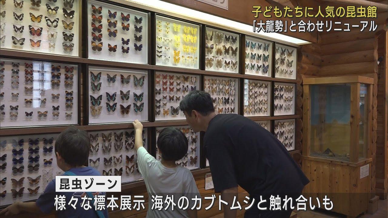 画像: 「世界の昆虫館」が「朝比奈　龍勢・昆虫館」としてリニューアルオープン　静岡・藤枝市 youtu.be