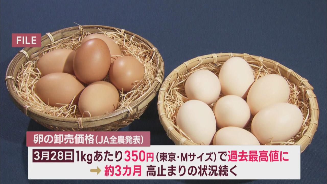 画像: 「卵が手に入らない…」　“静岡の定番土産”『こっこ』も苦境に…打開策は「安倍川もち」　静岡市