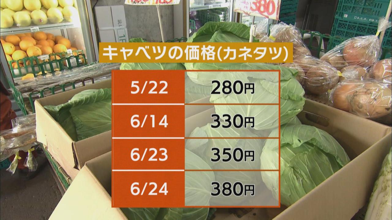 画像3: 雨と暑さでキャベツも高騰 消費者「300円以上だと我慢する」 代用できる野菜は何 とんかつ店も「厳しいけど…」