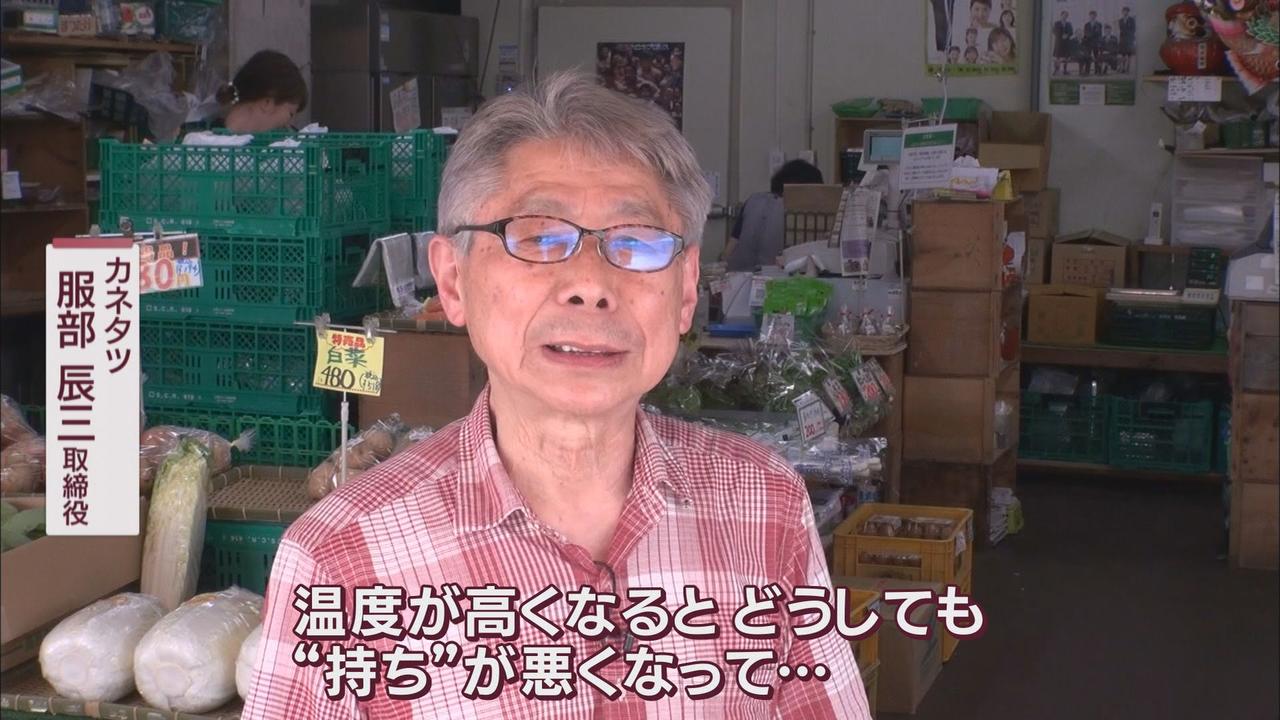 画像2: 雨と暑さでキャベツも高騰 消費者「300円以上だと我慢する」 代用できる野菜は何 とんかつ店も「厳しいけど…」