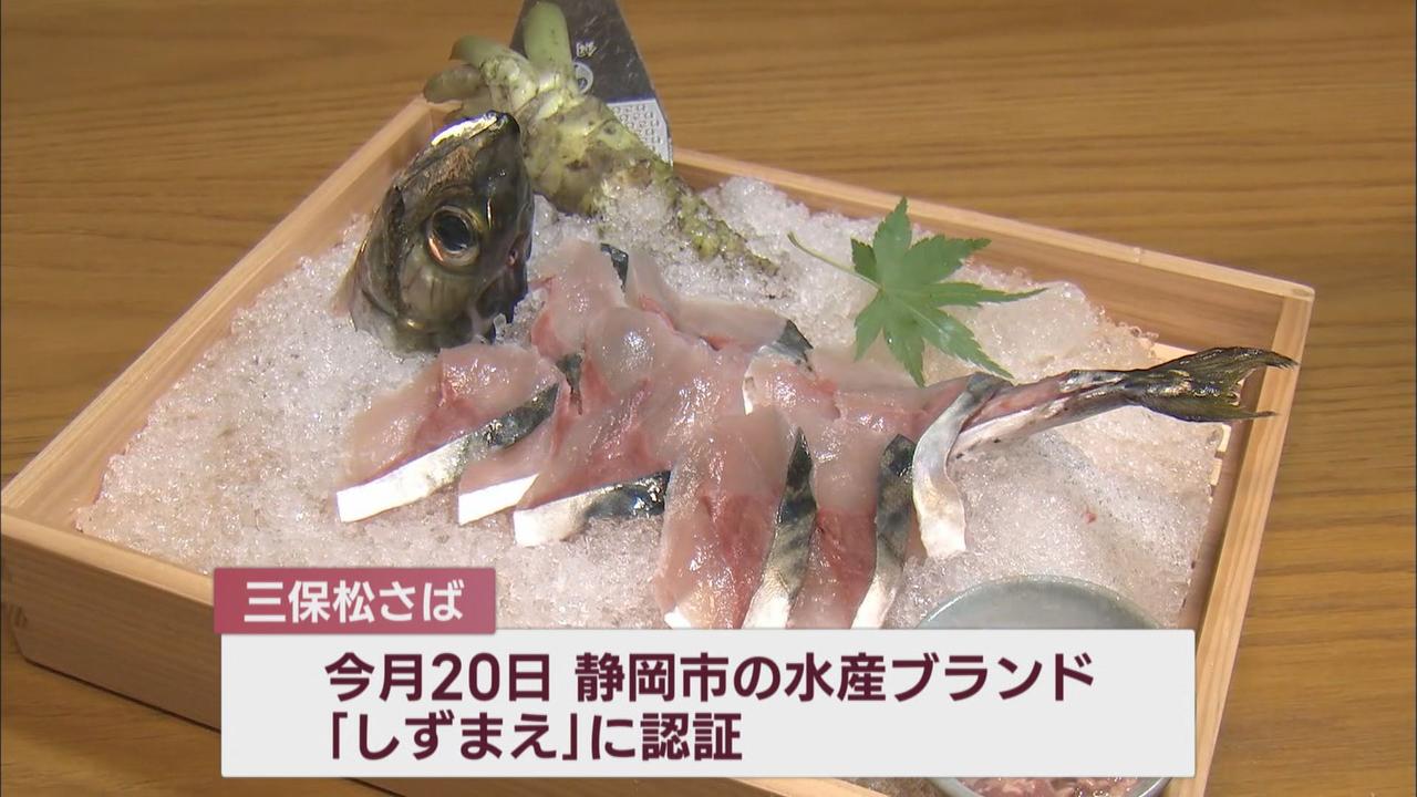画像1: 魚臭さが少なく寄生虫の心配がない…陸上養殖「三保松さば」販売へ 「三保サーモン」に続く静岡市の新たな名物に期待