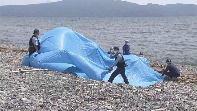 画像: 【速報】出産直後の女児を殺害した罪で24歳の母親を起訴 父親は処分保留…自転車盗で逮捕 静岡・沼津市