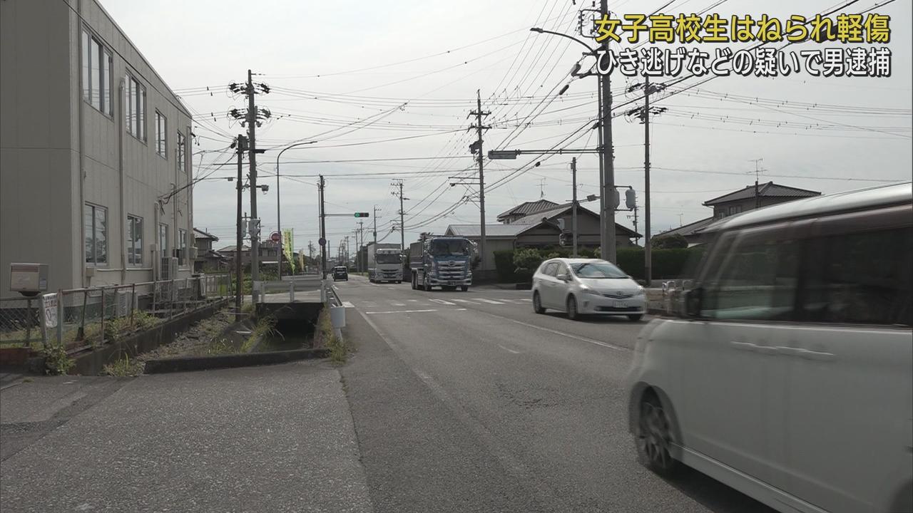 画像: 下校途中の自転車の女子高校生をはねて逃走したか…23歳の会社員の男をひき逃げ容疑で緊急逮捕 静岡・焼津市