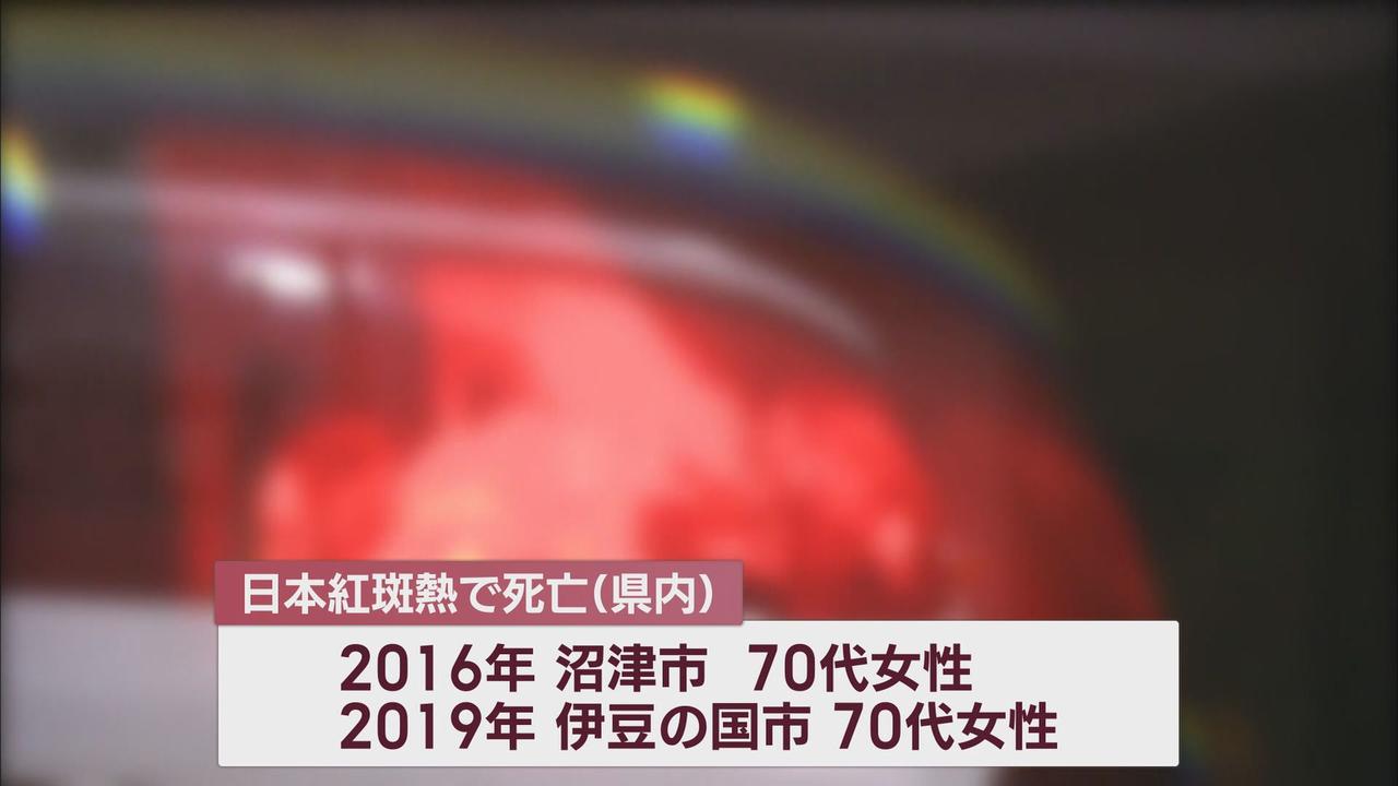 画像2: かまれると感染することも…県内では5年間で2人死亡