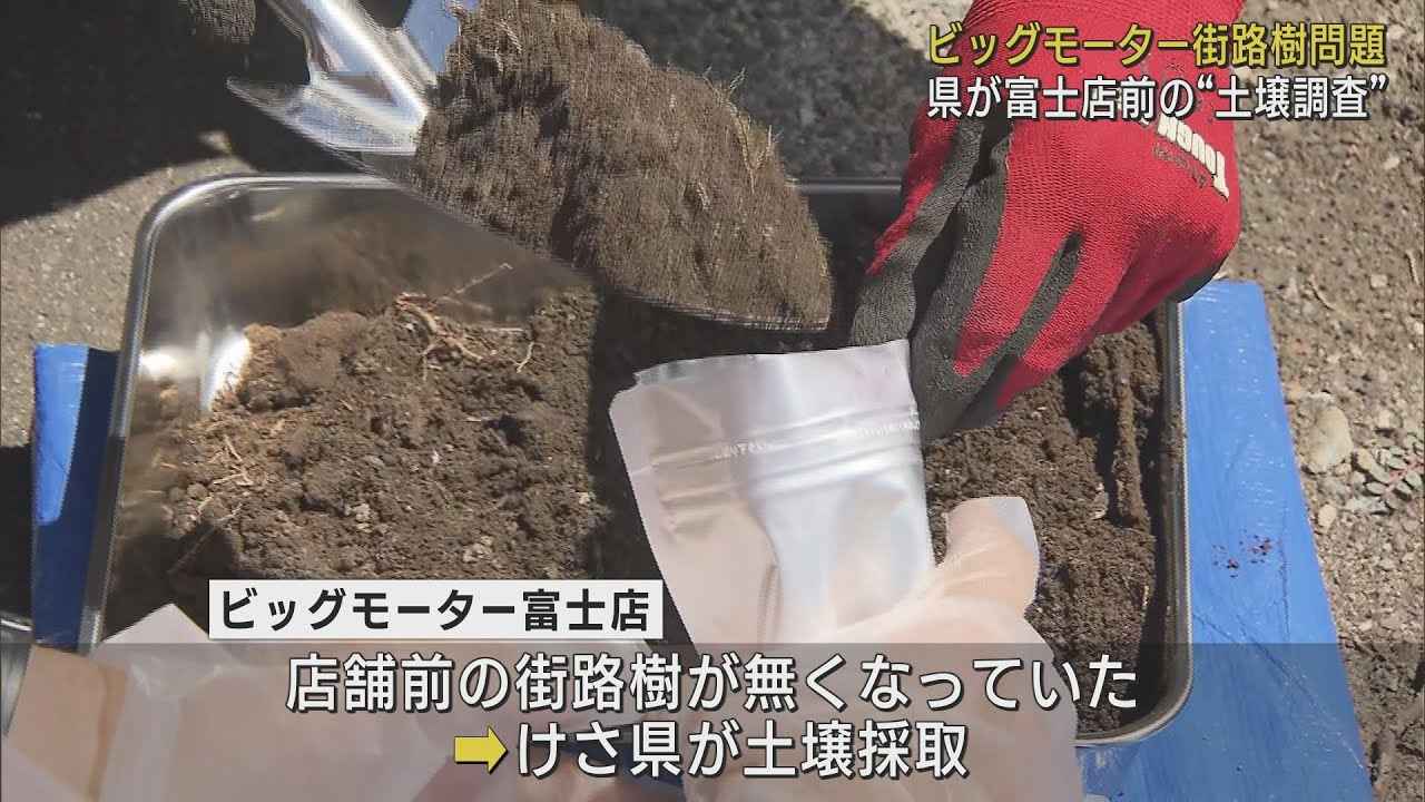 画像: 「ビッグモーター」富士店 店舗前の街路樹があった土壌を採取し調査 静岡県 youtu.be