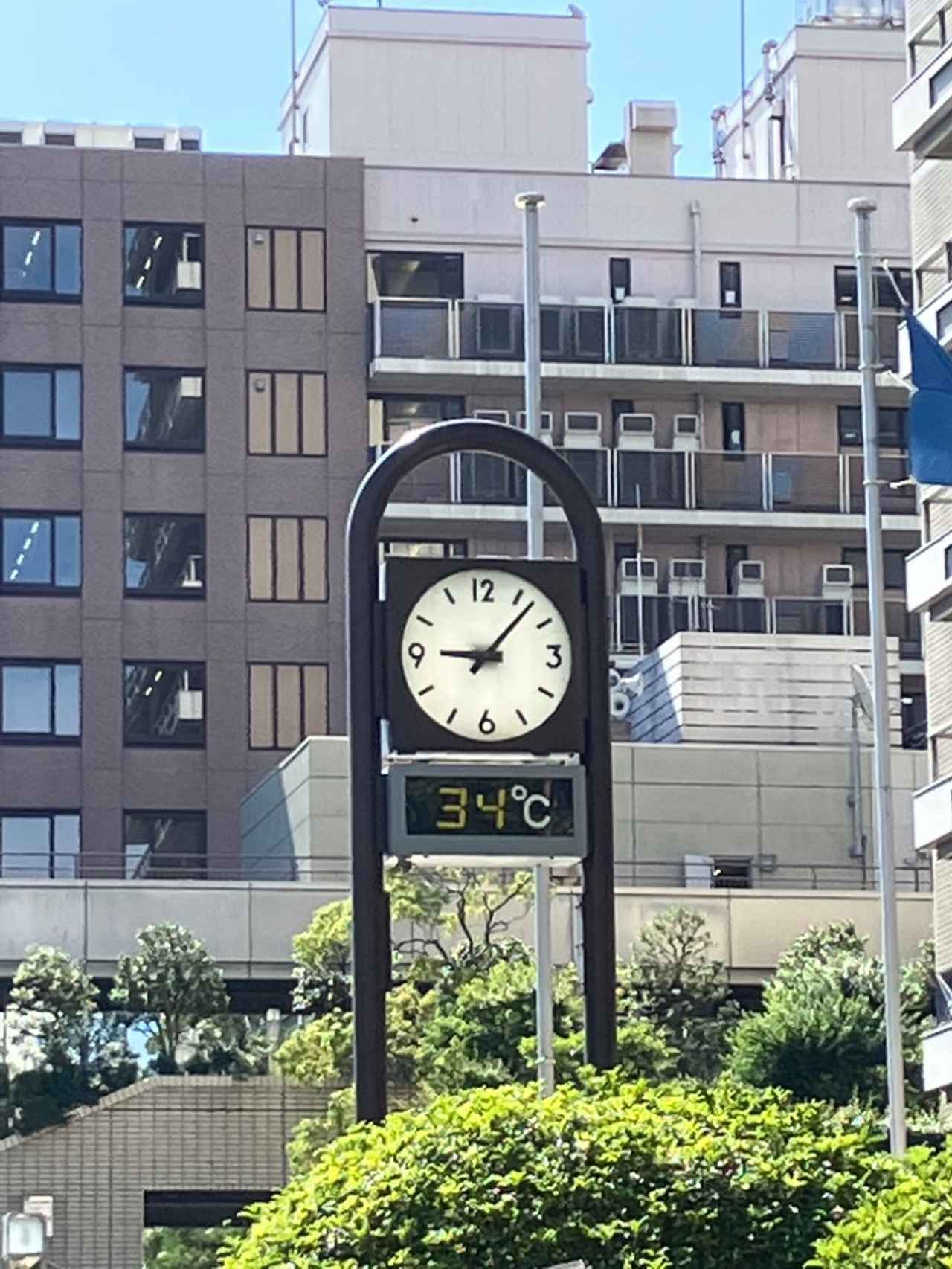 画像: 【速報 熱中症】浜松市と沼津市で「意識障害ある」重症患者 静岡県16人救急搬送…重症2人、中等症4人、軽症10人