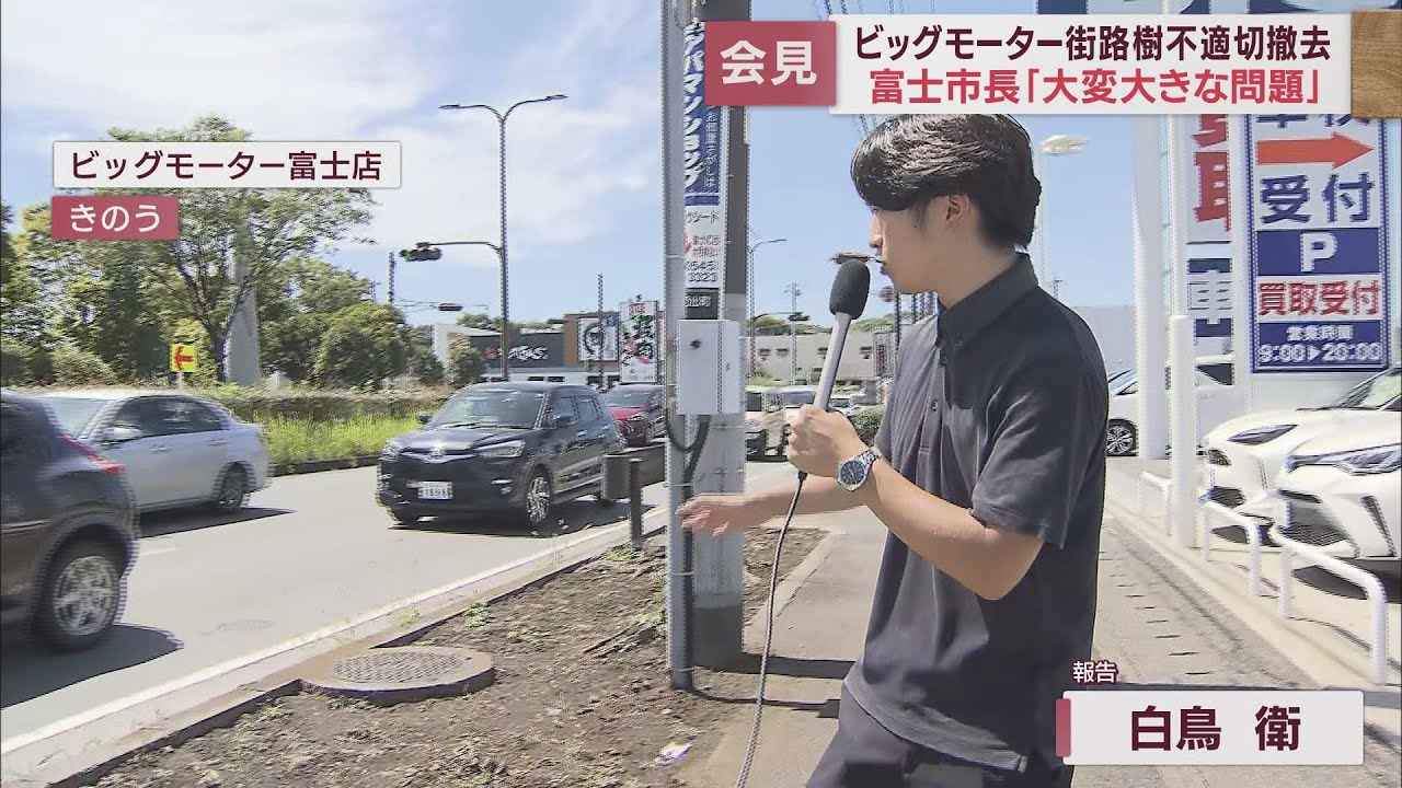 画像: 市長「場合によっては被害届も」…ビッグモーター「街路樹問題」 静岡・富士市 youtu.be