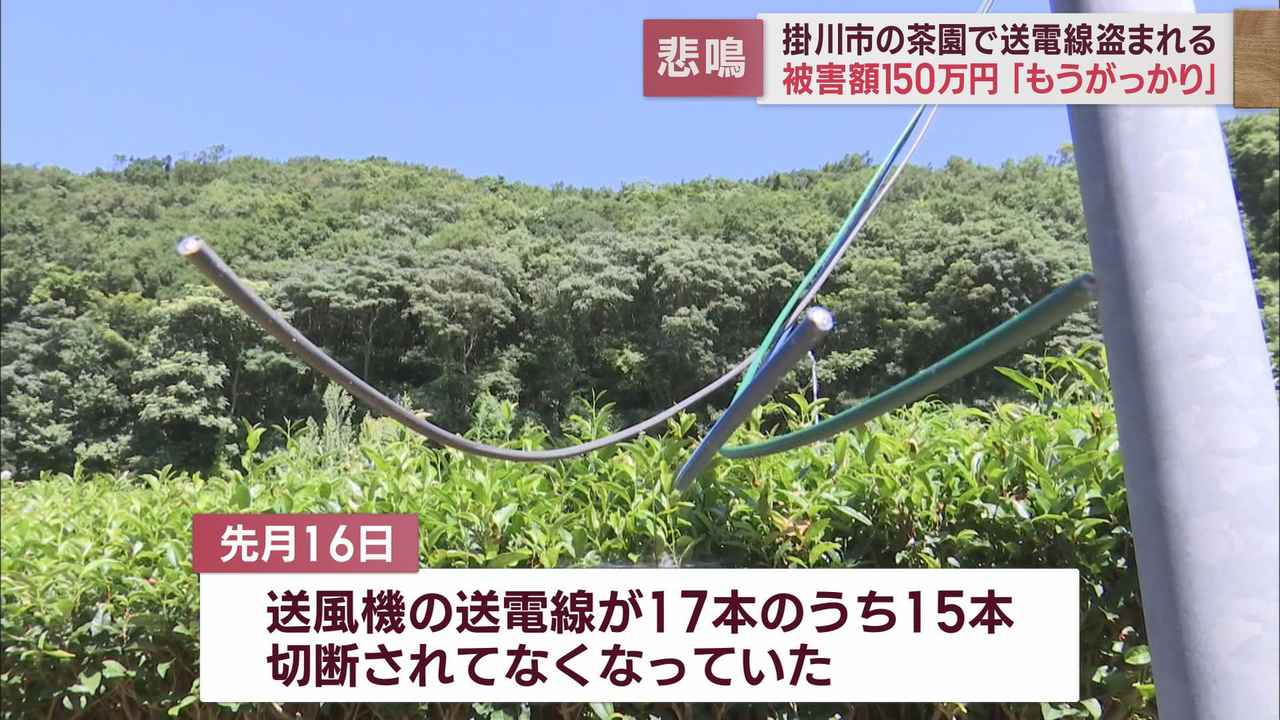 画像: 送電線17本のうち15本が切断され…