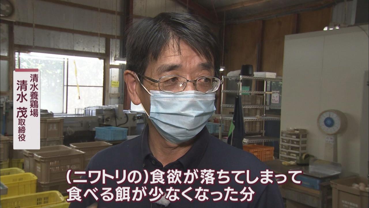 画像: 「ニワトリの食欲が落ちて卵が小さくなった」