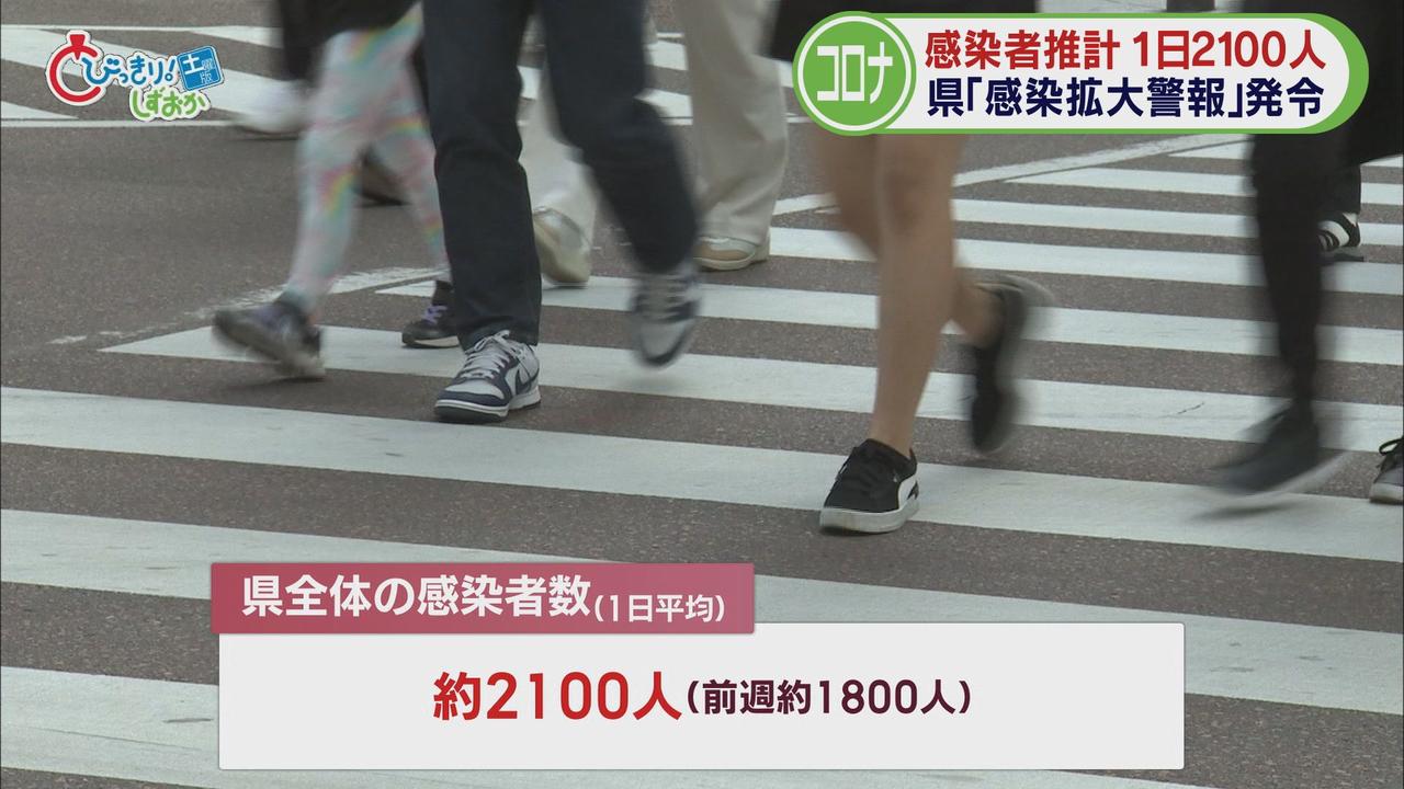 画像2: ５月上旬から増加傾向…前週の１．２倍