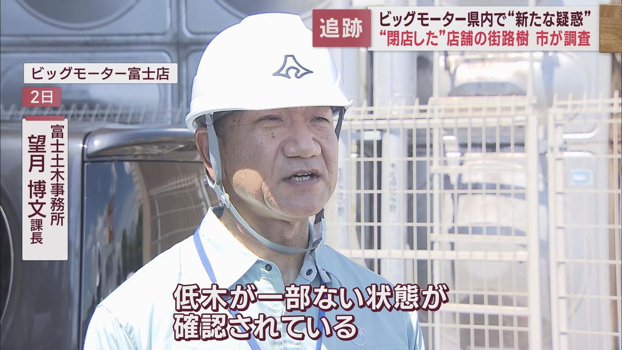 画像1: 「街路樹の不正撤去」