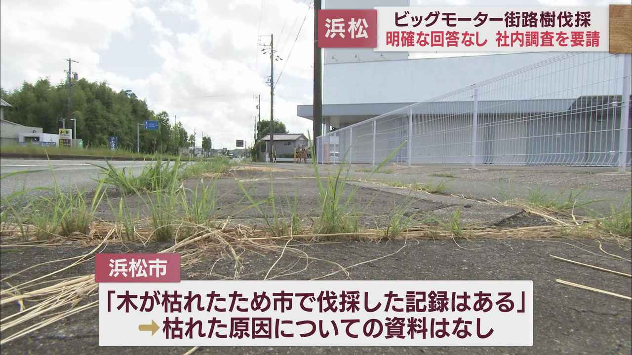 画像3: 【ビッグモーター街路樹伐採問題】閉店した3店舗も含め街路樹が枯れた理由について社内調査するよう求める 浜松市中野祐介市長