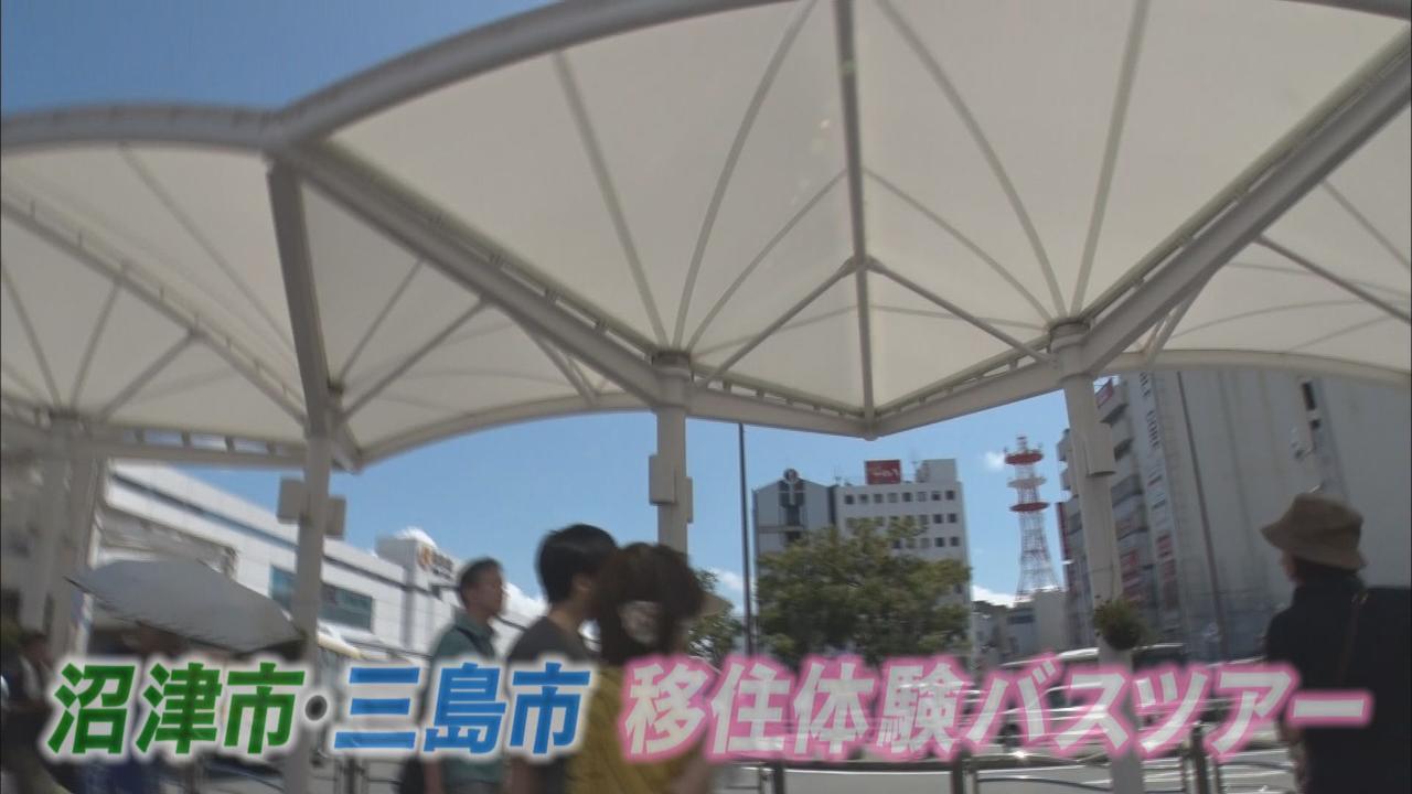 画像1: 沼津市と三島市では移住希望者のバスツアーも