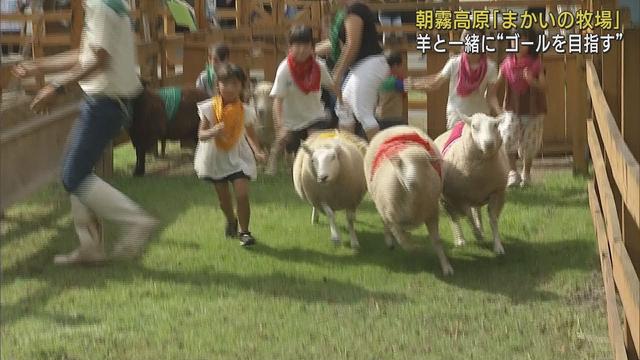 画像: ヒツジと一緒にかけっこレース 静岡・富士宮市「まかいの牧場」 youtu.be