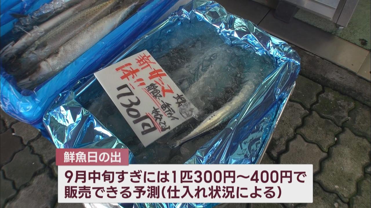 画像: 「海水温の上昇」も原因の一つか…サンマが高騰 水温上昇は静岡県のシラス漁にも影響 静岡