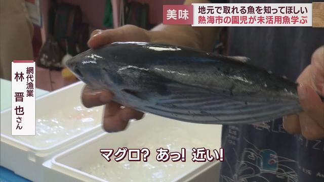 画像: 店頭に並ばない未活用魚を知って…園児が水産業者から教わる 小さいアジの揚げ物に「身はふわふわで、外はカリカリ」 静岡・熱海市 youtu.be