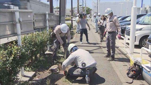 画像: ビッグモーター店舗前の土を採取 8月2日