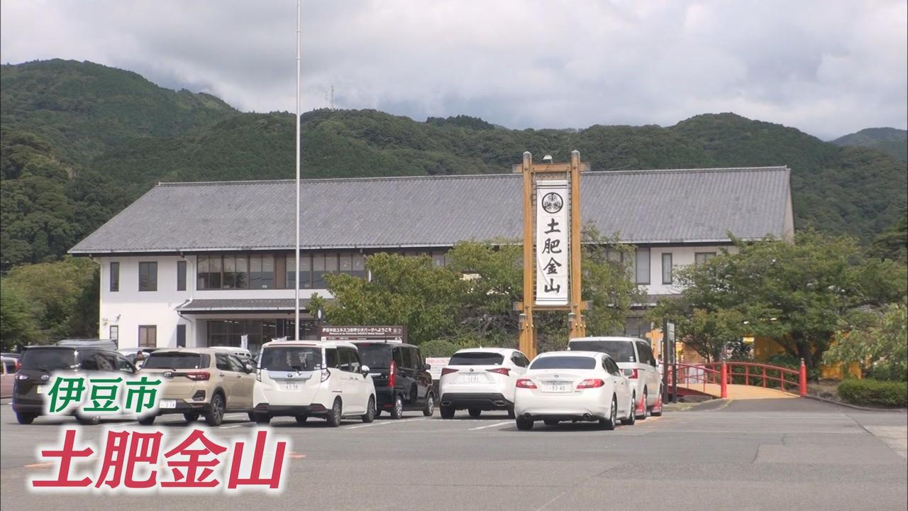 画像1: ギネス認定の「金塊」