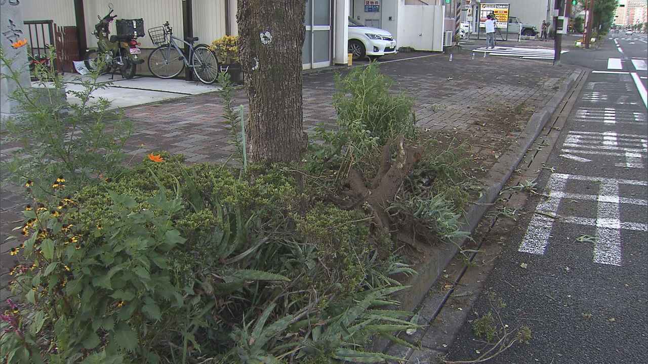 画像: 静岡市葵区本通