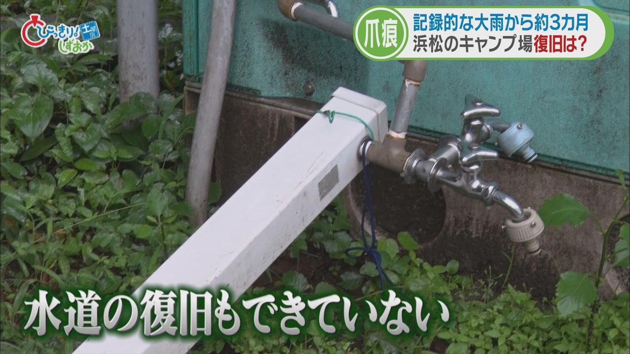 画像4: あれから3カ月近く…