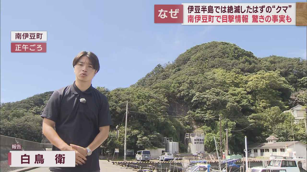 画像1: 伊豆半島ではクマは絶滅したはず? 南伊豆町でクマとみられる動物の目撃情報が! はたして?!