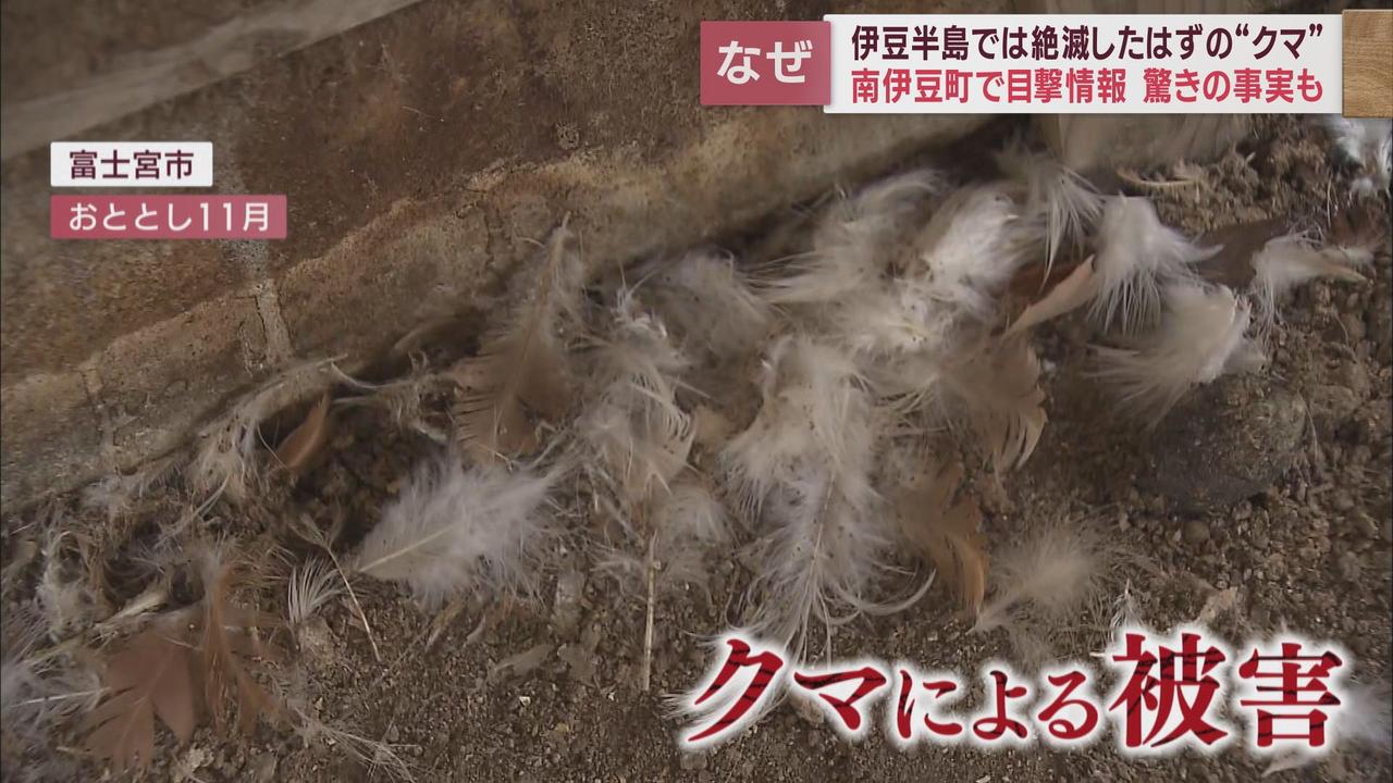 画像3: 過去にも出没情報が
