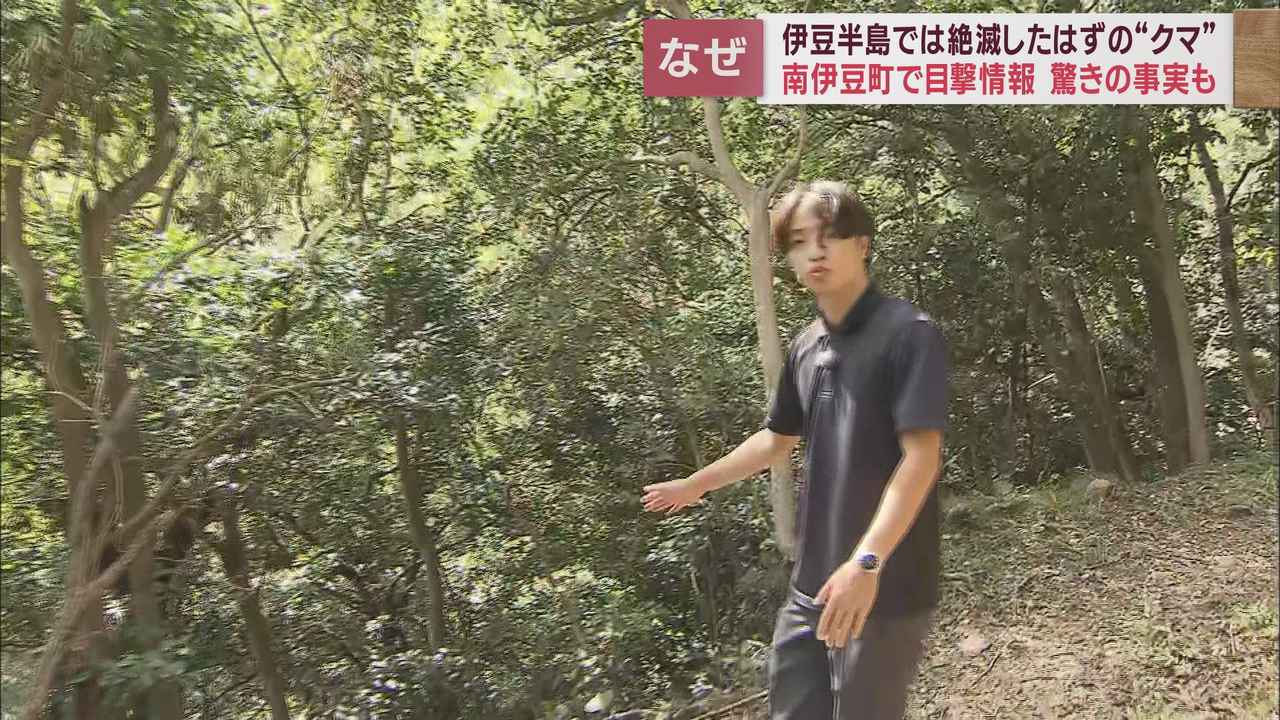 画像3: 伊豆半島ではクマは絶滅したはず? 南伊豆町でクマとみられる動物の目撃情報が! はたして?!