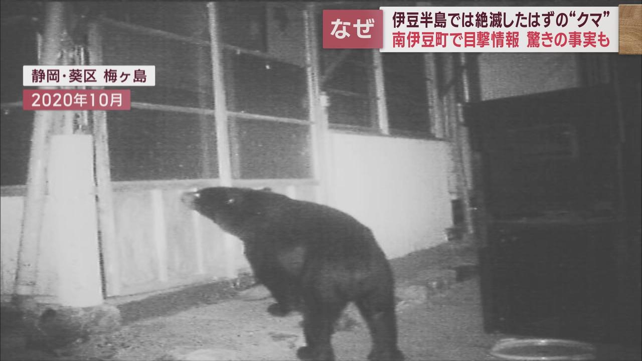 画像1: 過去にも出没情報が