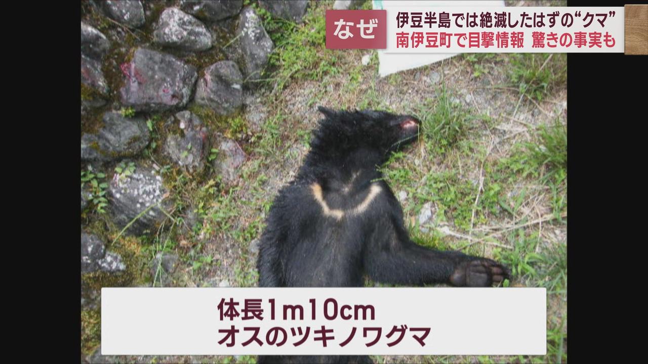 画像2: 過去にも出没情報が