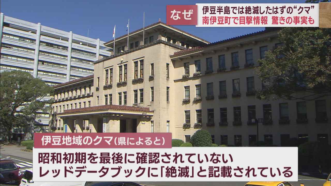 画像1: 西伊豆町でツキノワグマが